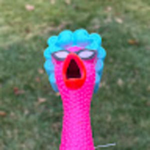 Meet your Posher, Madison